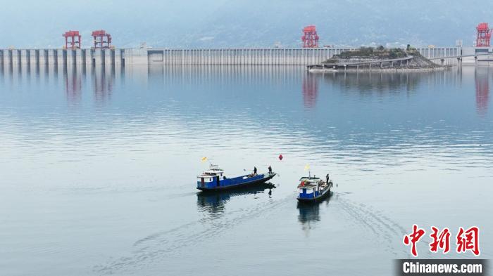 耀世娱乐注册：湖北秭归：三峡库首清漂守护长江生态